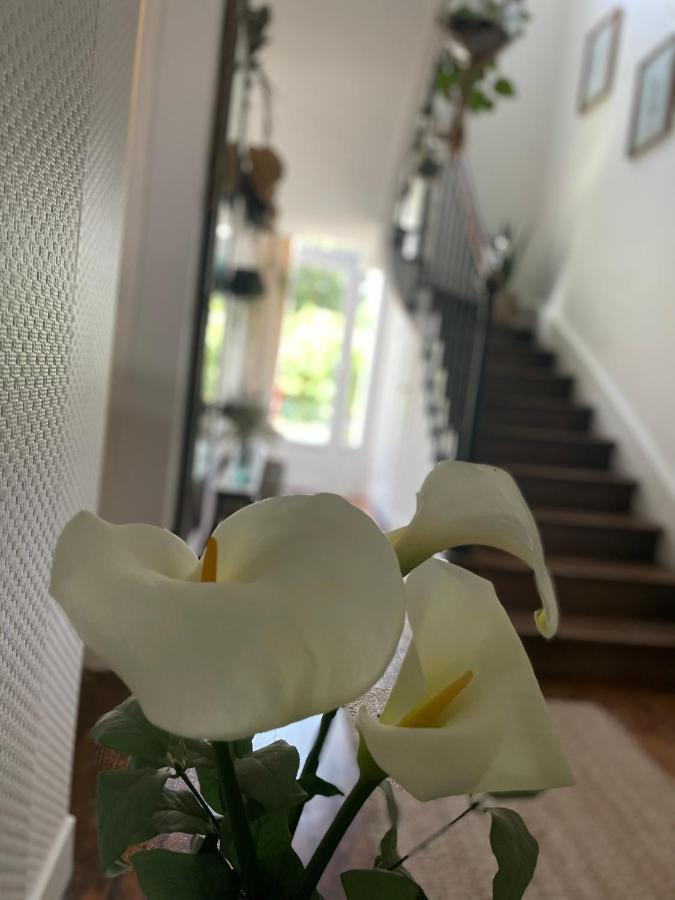 Villa des Roses Pontmain Extérieur photo